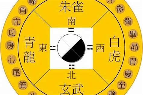 玄武方位|四象